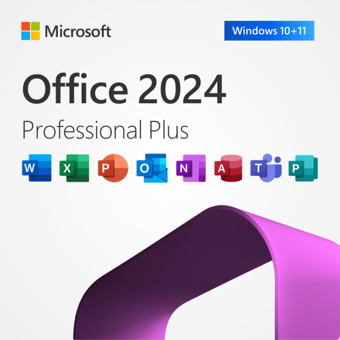Microsoft Office 2024 Professional Plus clave de producto para PC o Mac Licencia de por vida Suite de Office